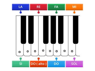 LE NOTE SULLA TASTIERA