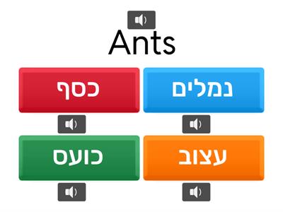 Entry Point 1 unit 1-6 מבדק