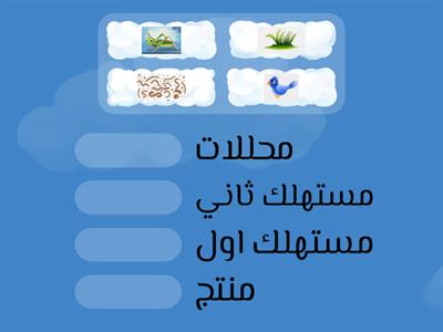 السلسلة الغذائية 