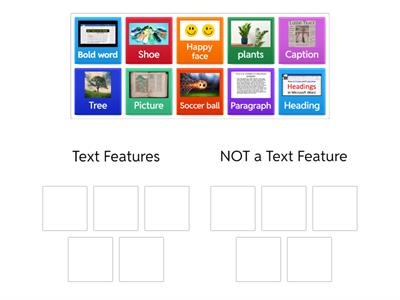 Grade 3 Sorting features