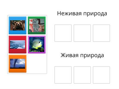 Окружающий мир 2 класс 