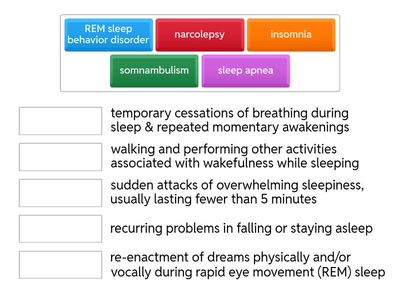 1.5 Sleep Disorders