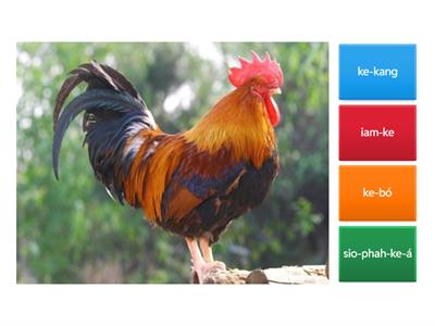 啥是台語字彙王