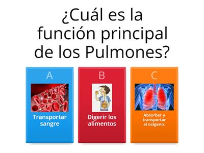 Conociendo el Cuerpo Humano y sus funciones.