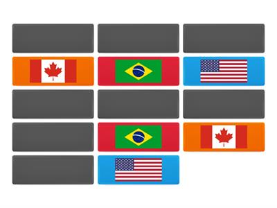 MEMORY GAME FLAGS