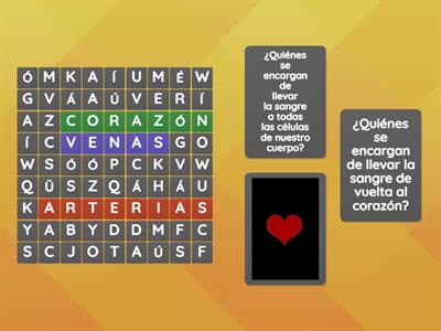 Copia de Sistema circulatorio