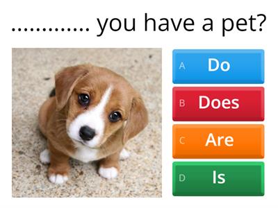 Present Simple: + / - / ? 10 сурак