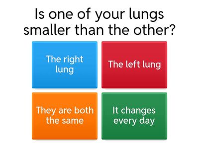 Respiratory System Fun Quiz