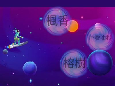 校園植物(喬木葉子篇)-測驗11