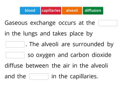 gaseous exchange 