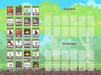 Correct or incorrect? Choice 1