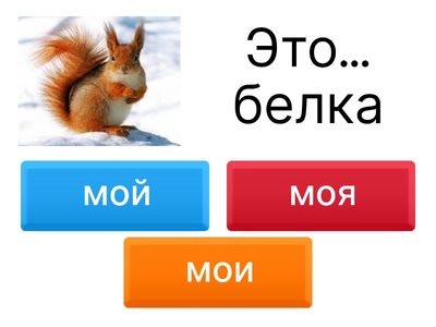 дикие животные