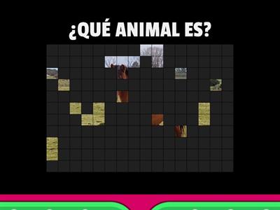 ANIMALES DE LA GRANJA