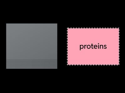 healthy lifestyle vocabulary