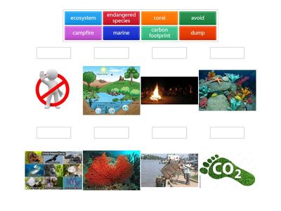  Unit 7: Environmental protection