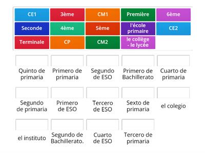 Entrenamiento_Sistemas escolares español y francés.