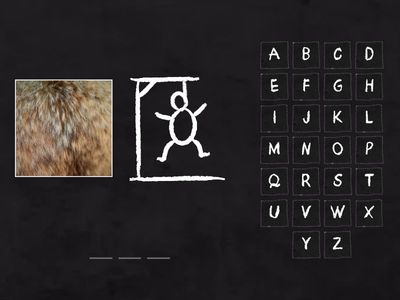 Wider World 2. Unit 3. Animal's body parts - 2