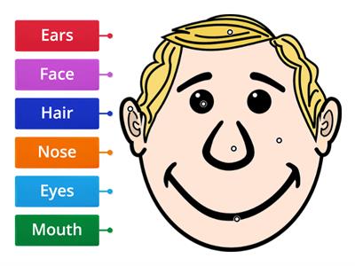 Parts of the face