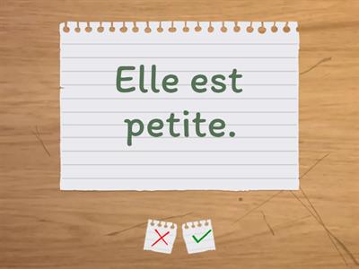 La description 3rd grade 