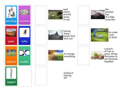 "Mattland" vocabulary OC 2nd grade