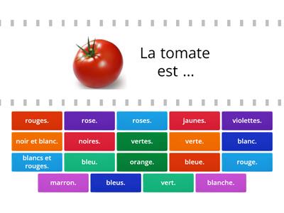 L'accord des adjectifs de couleur 