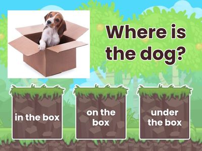 Prepositions in, on, under