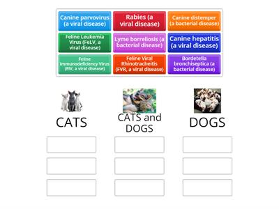 Infectious Disease Pathogens - Cats; Dogs