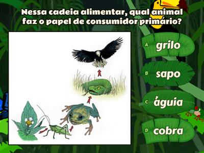 Quiz sobre cadeia alimentar