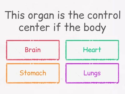 Science First Quarter