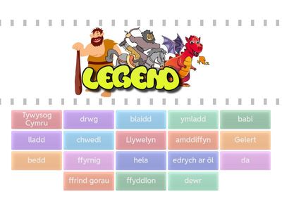 Gelert Find the Match CC3