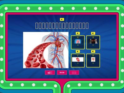 人體器官功能配對