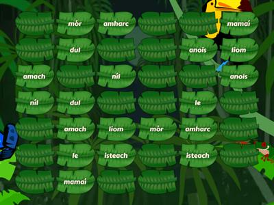 Féasta Focail 21-40