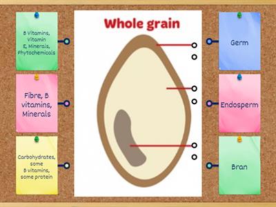 Anatomy of a Grain