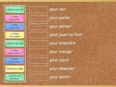 Les parties du corps et les actions