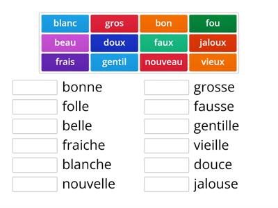 Associez les adjectifs (masculin et féminin)