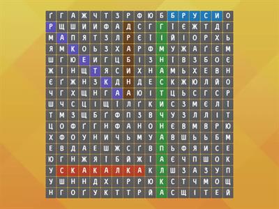 Спортивне знаряддя