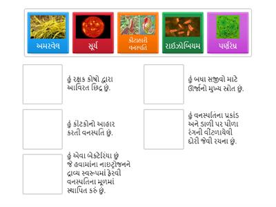 Std 7 sci. ch 1 વનસ્પતિમાં પોષણ:- L.O.SC.7.03 પદાર્થો અને સજીવોને તેમની લાક્ષણિકતા/ગુણધર્મોના આધારે વર્ગીકૃત કરે છે.