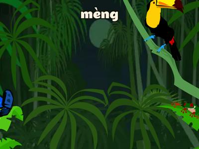 Y4 L2 亮亮的梦 Flying fruit