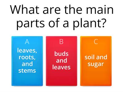 roots and stems and leaves