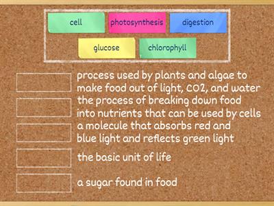 Nutrient Systems Study Guide