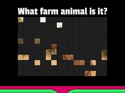 FARM ANIMALS