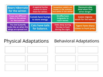 Adaptations Game