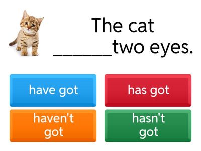 Have got/has got + negative