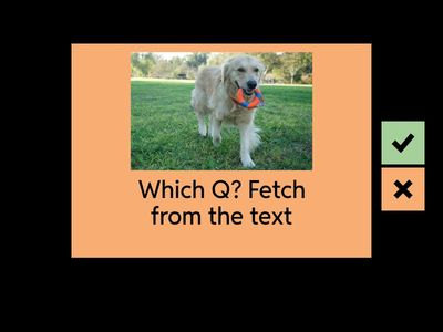 OCR English Language - C2 with reader