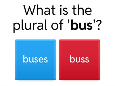 Plural Nouns Quiz "s" or "es"