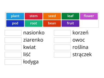 Incredible english 3, Unit 5, fruit and vegetables