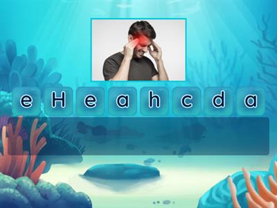 English 4º U9 Vocabulary