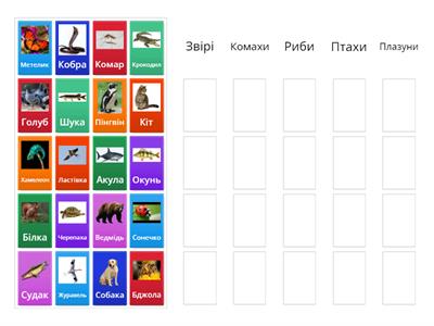 Класи тварин 