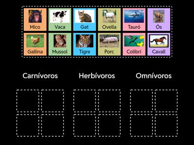 Animals carnívors, herbívors, omnívors