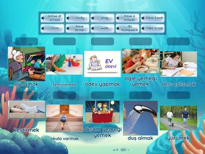 Daily Routines Matching